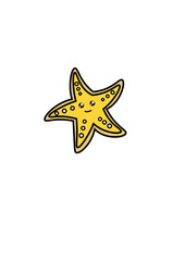 STARFISH ILLUSTRATIONS