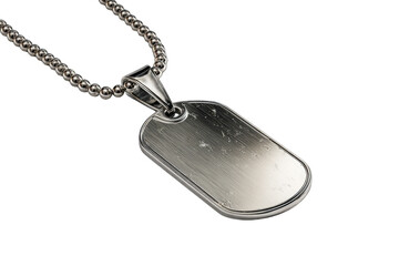 Fototapeta premium Metal dog tag pendant on chain (1)