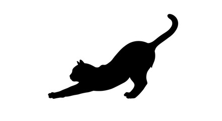 A black silhouette of a cat stretching against a white background