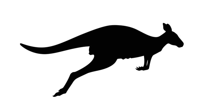 A black kangaroo silhouette leaps against a white background