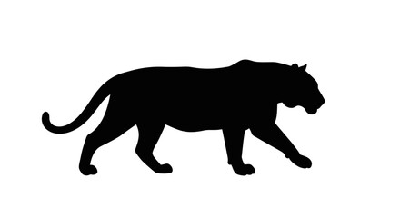 A black silhouette of a panther is walking across a white background