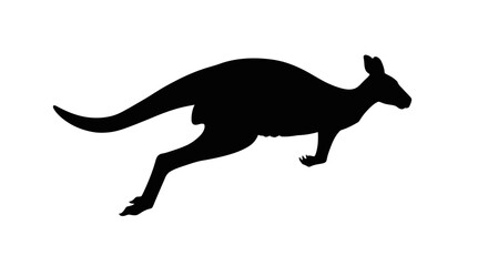 A black silhouette of a kangaroo midjump posed against a white background
