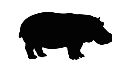 A silhouetted hippopotamus stands in profile against a white backdrop