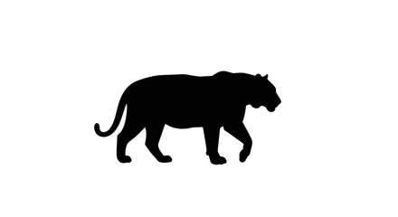 Black silhouette of a tiger walking defined by curved tail  strong body on a plain white background