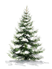 Simple Watercolor Christmas Tree Illustration