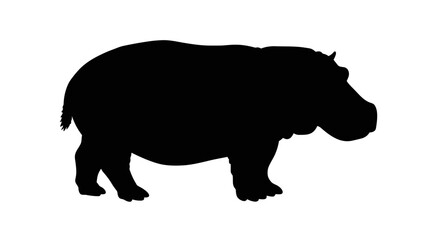 Silhouette of a hippopotamus with its stocky body and large head