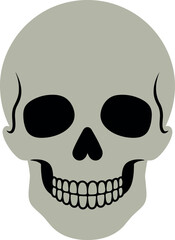 Human skull face halloween spooky bone head icon vector