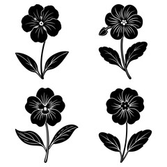 Obraz premium Four black and white floral illustrations with detailed petals and leaf arrangements on white backdrop
