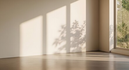 Sunlight streaming into an empty room casting shadows on the wall.