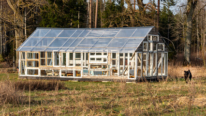 early spring in nature, interestingly built greenhouse from old wooden windows, peasant architecture, homemade greenhouse for various plants