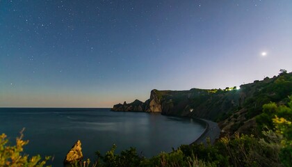 Coastal night scene with stars and moon