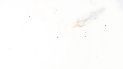 black ink splash