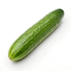 Whole fresh cucumber with smooth green skin and vertical stripes on white background
