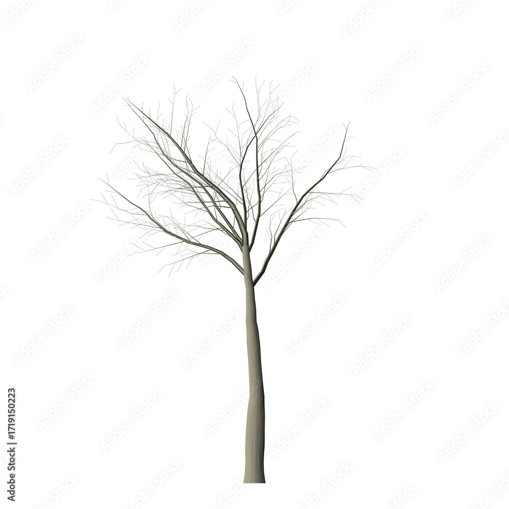 Poster a leafless tree with thin branches against a stark black background in a minimalist digital renderin