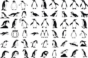 Penguin Bird Animal Icon Silhouette Set Wildlife Penguin Silhouette Icon Collection