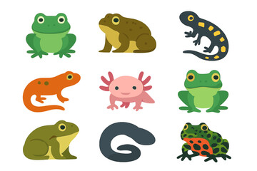 Amphibian Icons Set. Flat icon set of amphibians: frog, toad, salamander, newt, axolotl, tree frog, bullfrog,