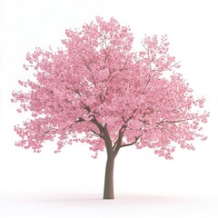 Obraz premium Pink cherry blossom tree against white background (2)