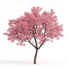 Obraz premium Pink blossom tree against white background