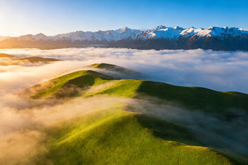 Green hills rising above a sea of clouds with snow-capped mountains in the distance at sunrise