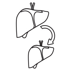 Liver Transplant Medical line Icon
