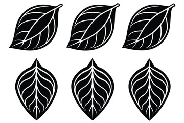 Silhouette icon set of cocoa leaves vector illustration