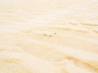 Nature travel background, sand beach close up texture summer desert zen garden coast ocean for vacation, hot tropical scene nature, holiday dune pile dry brown heap