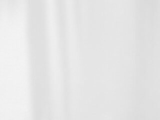 ackground shadow white light wall floor backdrop overlay leaf mockup summer sunight overlay nature on room cement abstract blur muckup effect grey minimal platform for presentation product