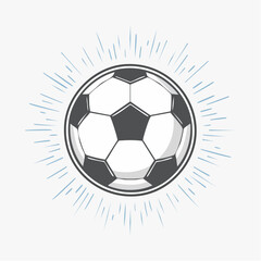 Fototapeta premium soccer ball vector