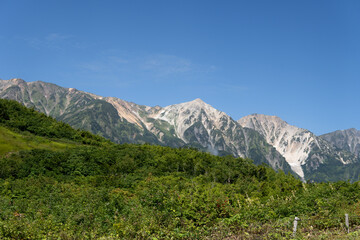 日本：八方尾根から見る白馬鑓ヶ岳と氷河（杓子沢雪渓）／長野県白馬村・9月