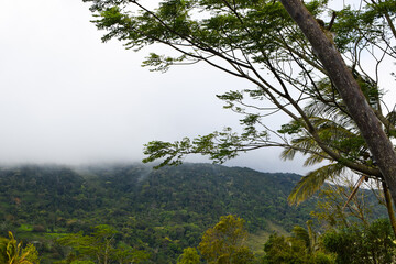 Scenic Mountain Landscape with Green Forest Trees under Blue Sky and White Clouds in Tropical Nature. Beautiful Mountain Valley with Lush Green Forest, Natural Mountain Hills Covered with Green Trees
