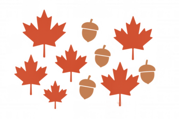 Maple leaves and acorns vector illustration of autumn fall foliage pattern on transparent background