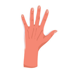 back of hand vector complete with five fingers