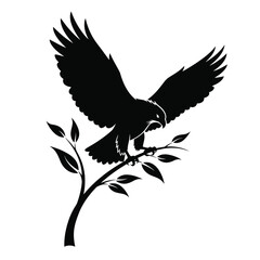 eagle on white background