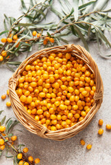 Fresh sea buckthorn berries overflowing a small wicker basket