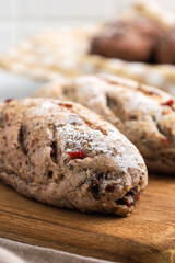 Cranberry and chocolate sourdough. Perfect for recipe, article, catalogue, or any commercial purposes.
