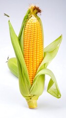 Fresh corn on the cob, vibrant yellow kernels