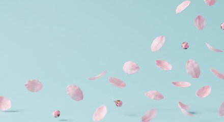 Delicate Pink Cherry Blossom Petals Falling on Sky Blue Background
