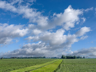 Walking path between Westhem and Abbega in Friesland province, the Netehrlands
