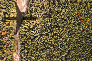 Airplane flying above forest and casting shadow on river and trees, top view