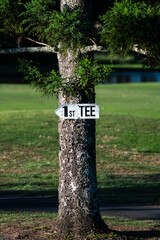 A sign for the first tee at a golf course - vertical