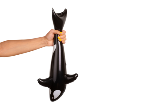 A human hand tightly grips a black inflatable orca toy on transparent background, highlighting the playful and modern concept.