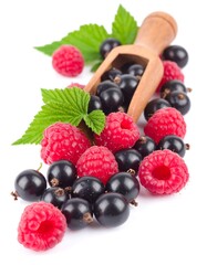 Fresh raspberries and blackcurrants in a wooden scoop