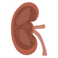 chronic kidney disease
