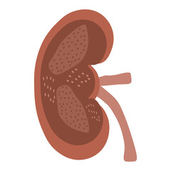 chronic kidney disease