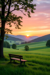 bench at sunset