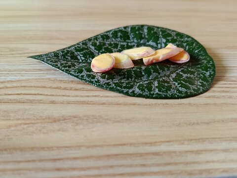 Sliced fingerroot rhizome arranged on a tropical green leaf over wooden background, used as herbal medicine and cooking spice.
