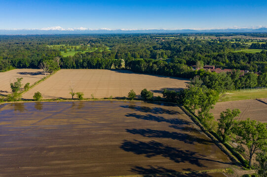 Aerial view of flooded rice paddies mirror the sky, contrasted by dry fields and dense forests under the distant, snow-capped Alps, Vespolate, Piedmont, Italy.