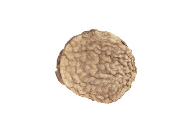 Cistanche deserticola on white background