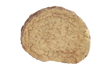 Cistanche deserticola on white background