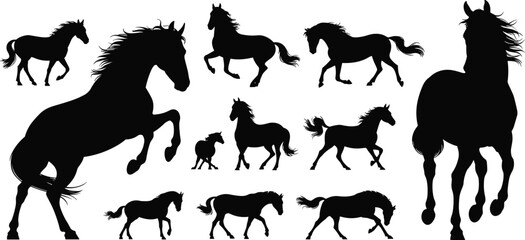 Horse silhouettes vector collection showing running, walking, rearing, standing, and foal poses in black outlines for design, decoration, illustration.